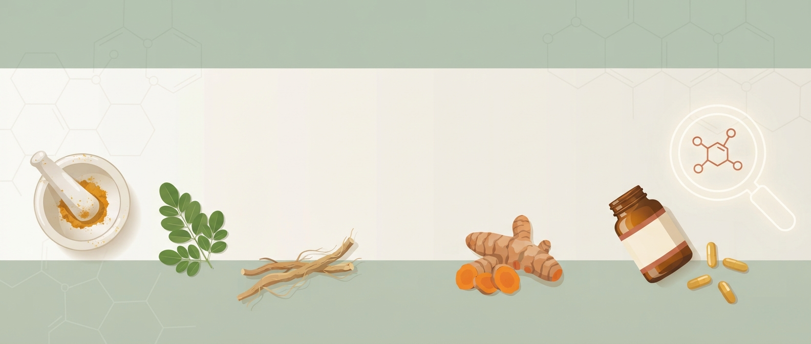 Main Banner